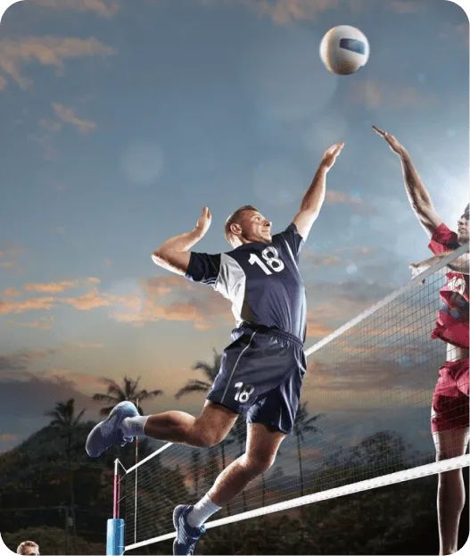 volleyball betting site